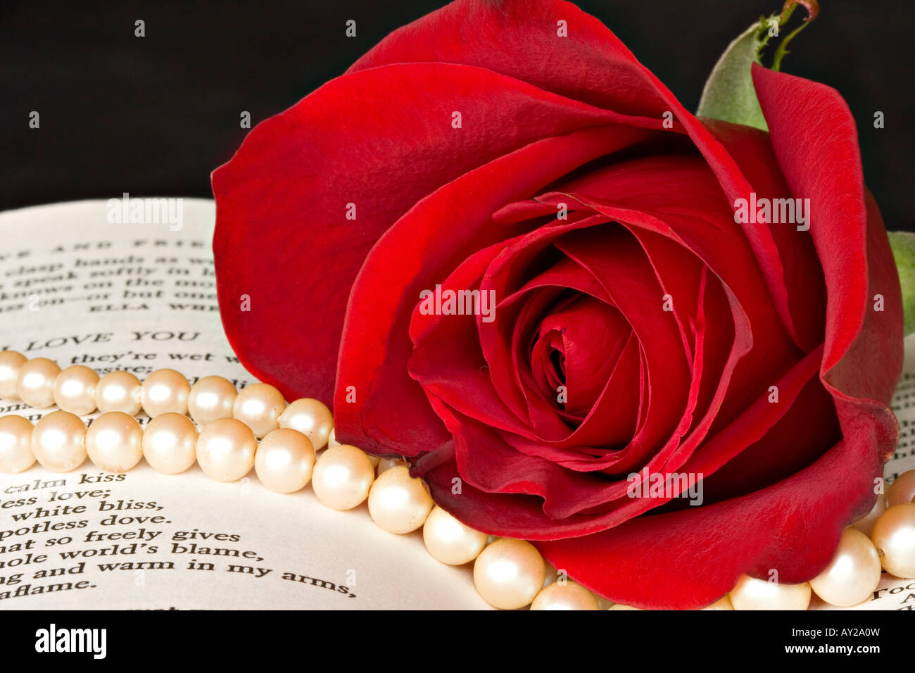Book red rose hi-res stock photography and images - Alamy