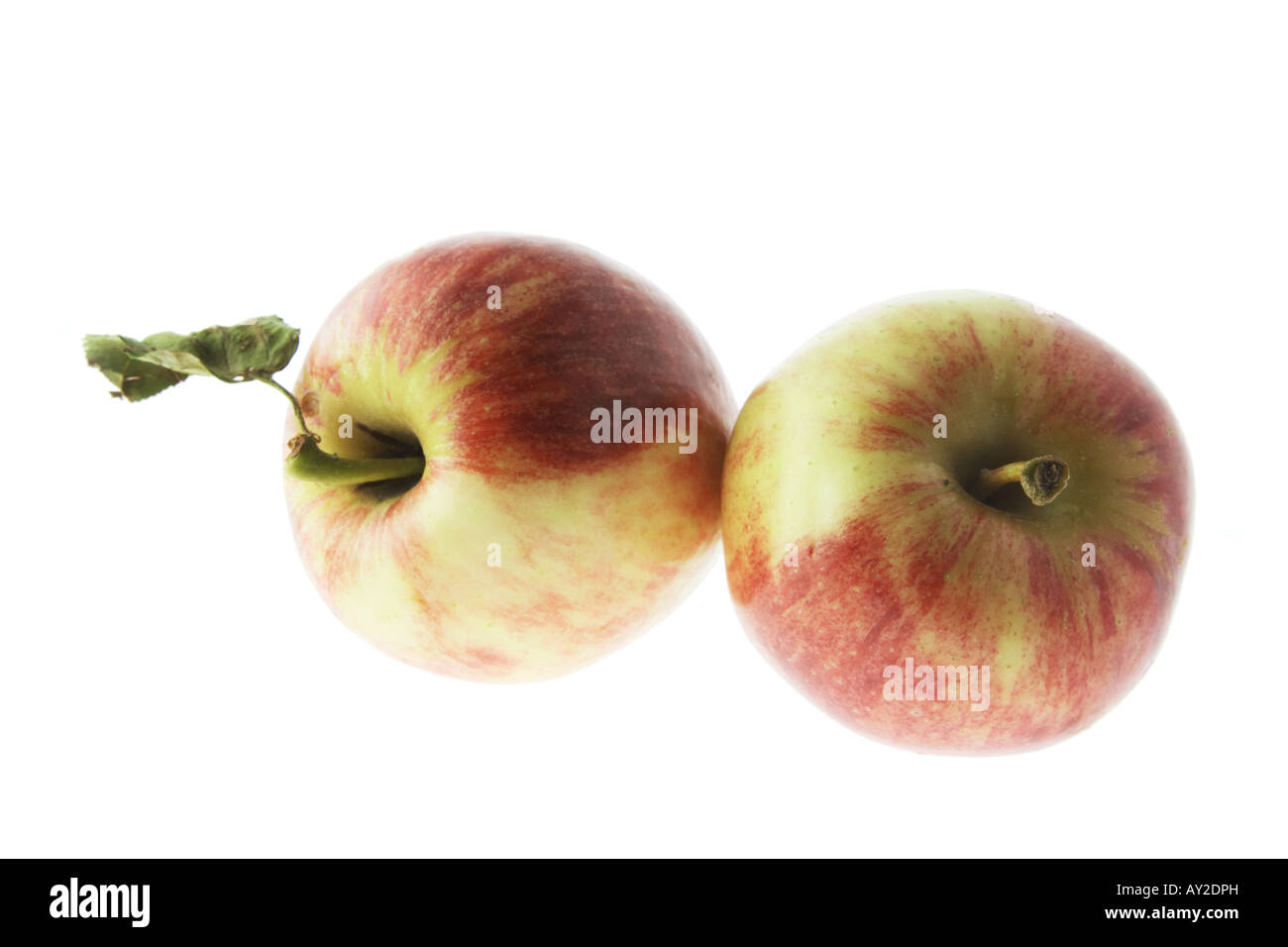 ARE RED GALA APPLES GOOD FOR YOU intelligence overview