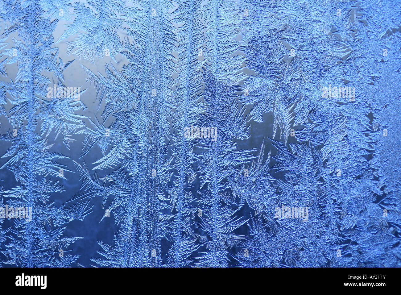 Ice crystals on a window (winter background). Stock Photo