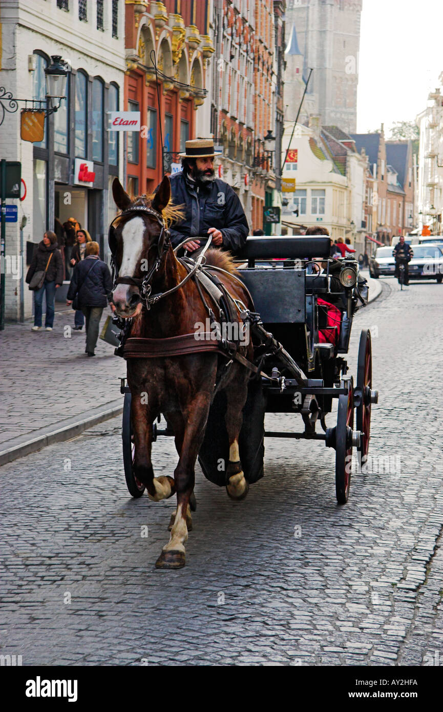 Sightseeing horse and trap on Steenstraat Brugge Belgium Stock Photo
