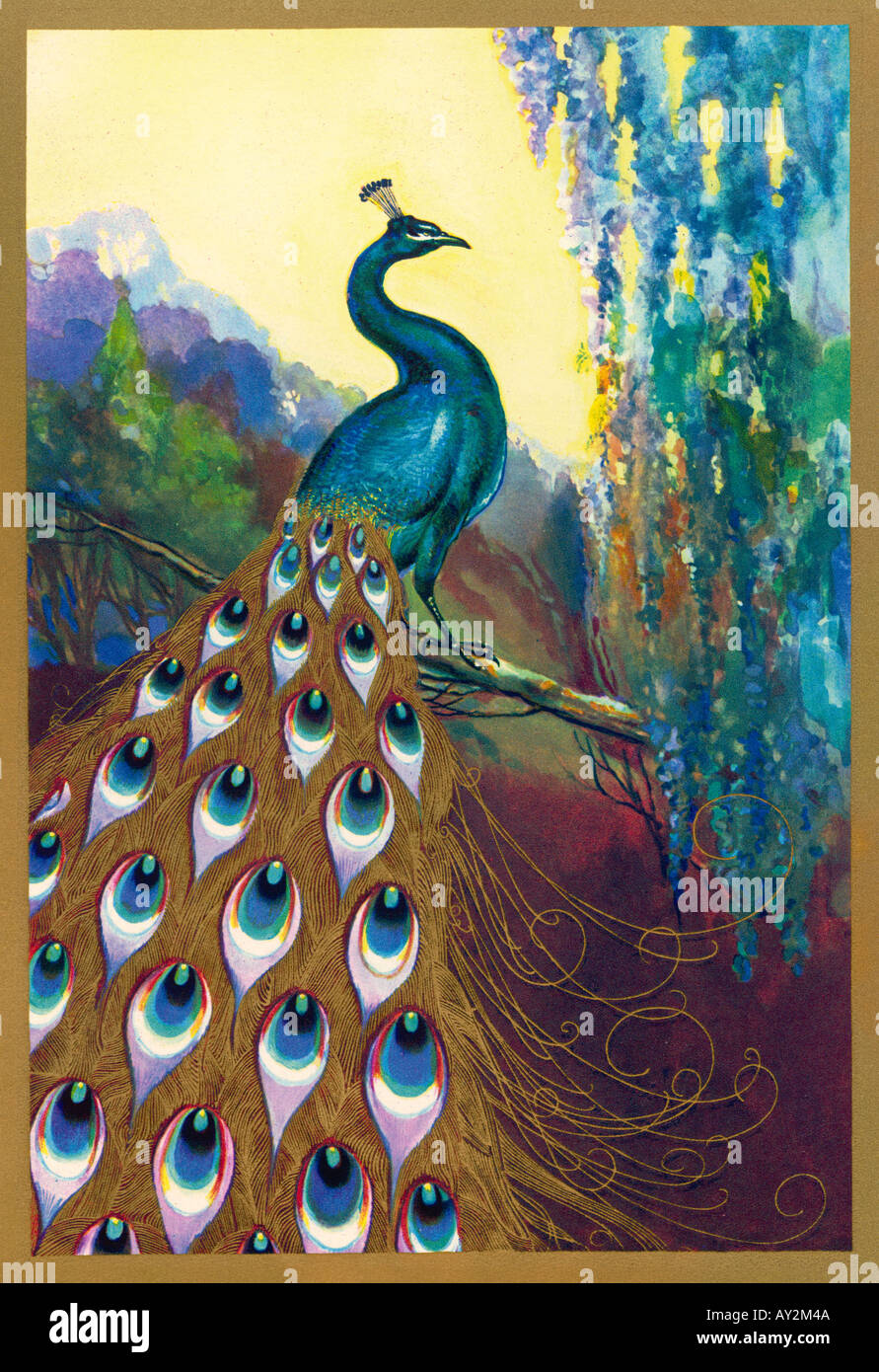 Ornamental birds hires stock photography and images Alamy