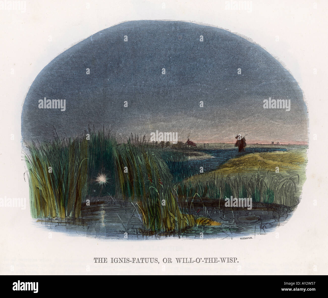 Ignis Fatuus Colour Stock Photo 5542230 Alamy