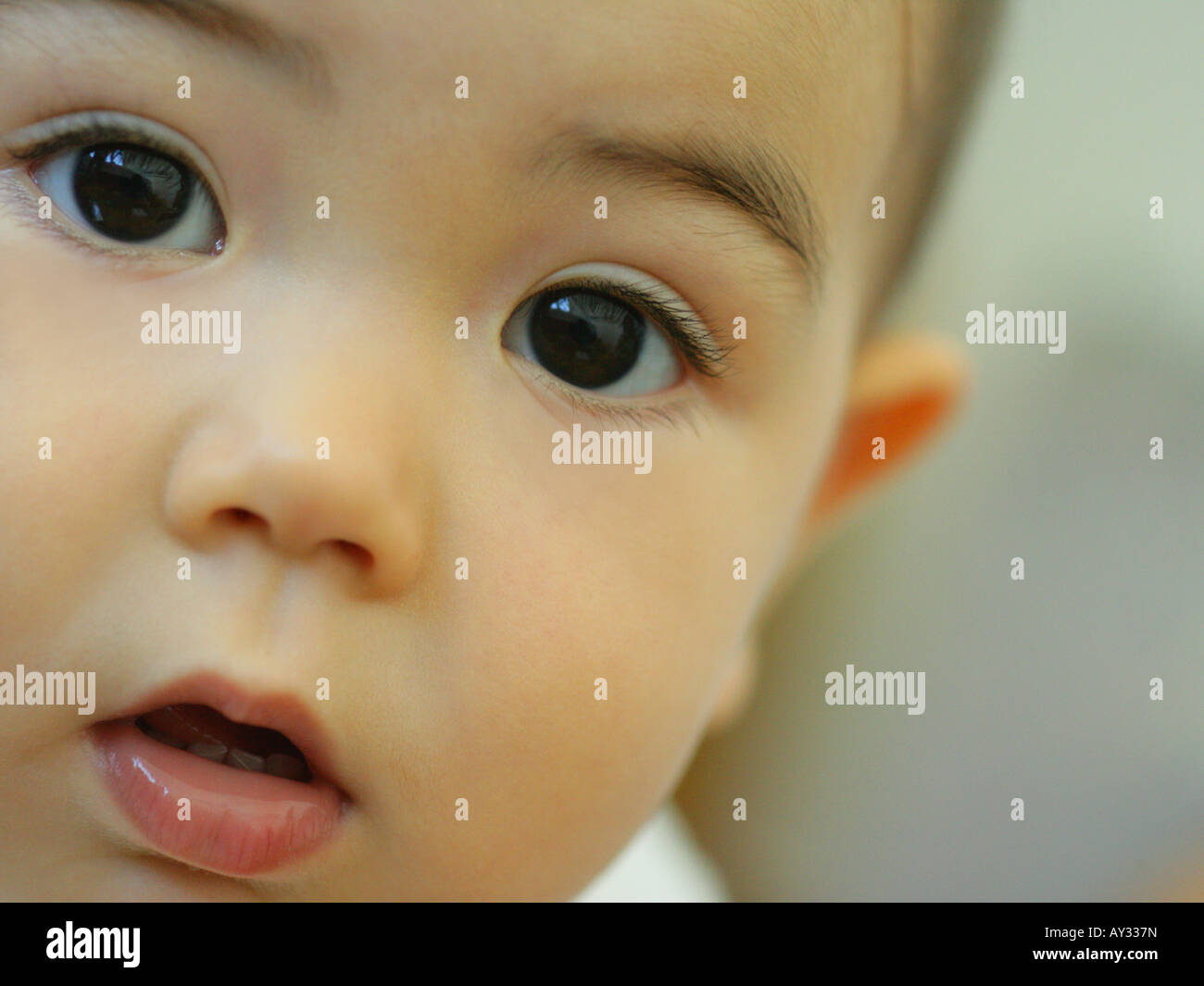 Portrait of a baby girl Stock Photo - Alamy