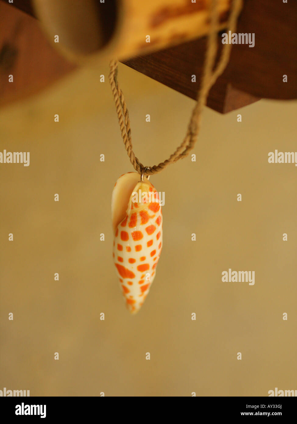 Close-up of a shell hanging from a string Stock Photo - Alamy