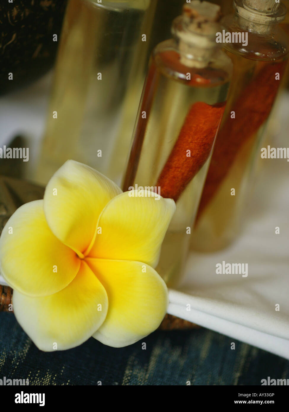 Close-up of a Frangipani flower with three bottles of massage oil (Plumeria) Stock Photo