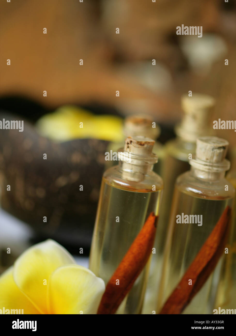 Close-up of a Frangipani flower with four bottles of massage oil (Plumeria) Stock Photo