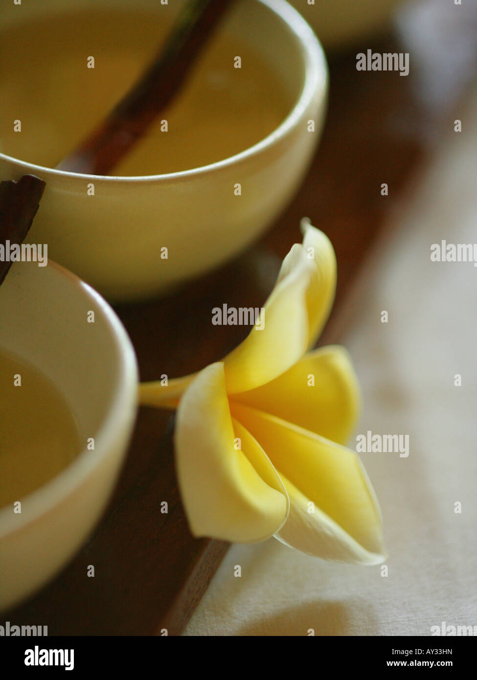 Close-up of a Frangipani flower with two bowls of massage oil (Plumeria) Stock Photo