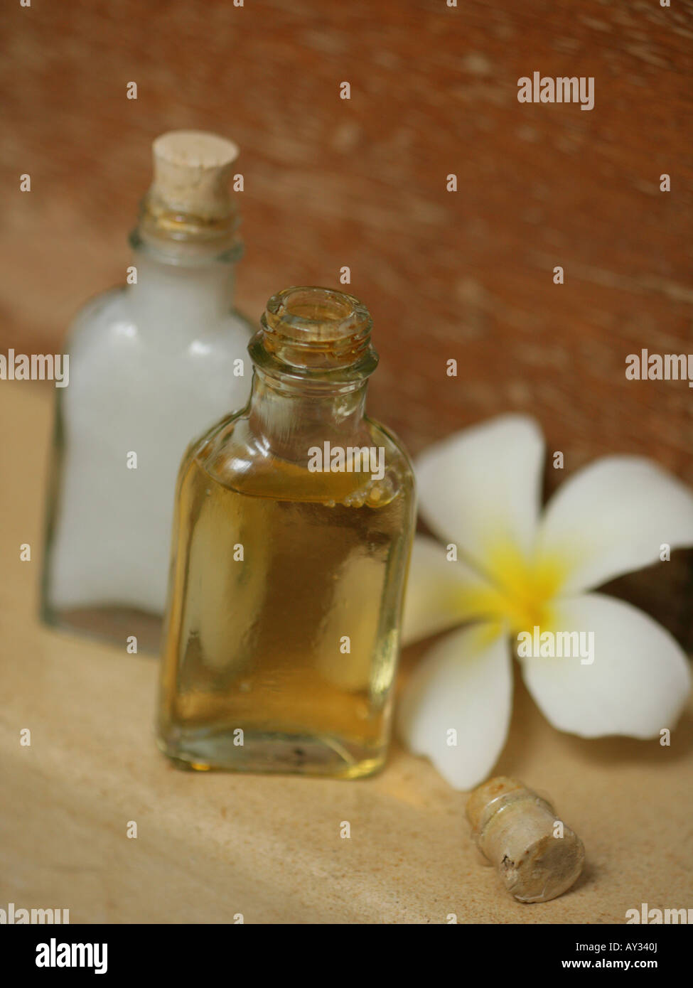 Close-up of a Frangipani flower with two bottles of massage oil (Plumeria) Stock Photo