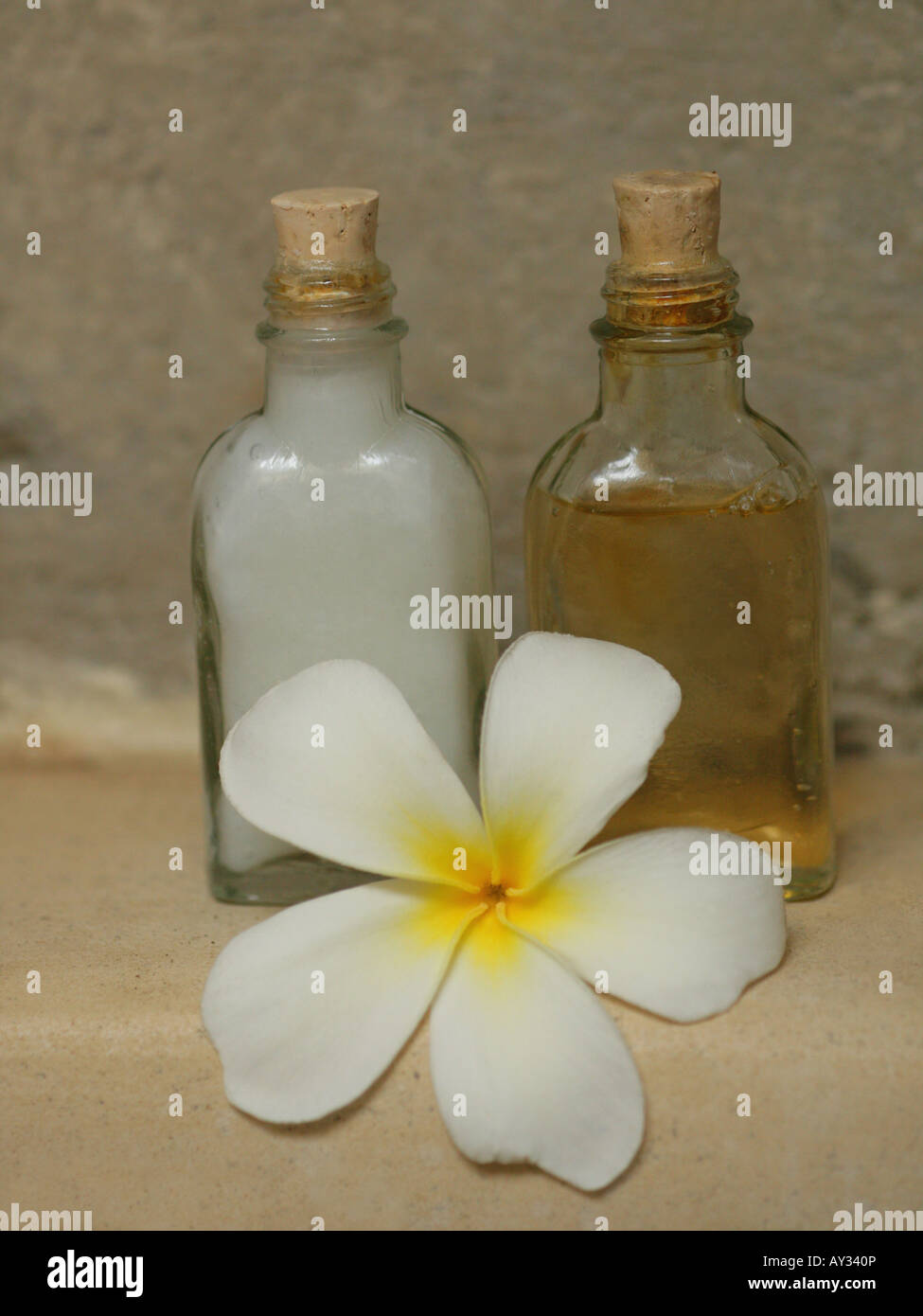 Close-up of a Frangipani flower with two bottles of massage oil (Plumeria) Stock Photo