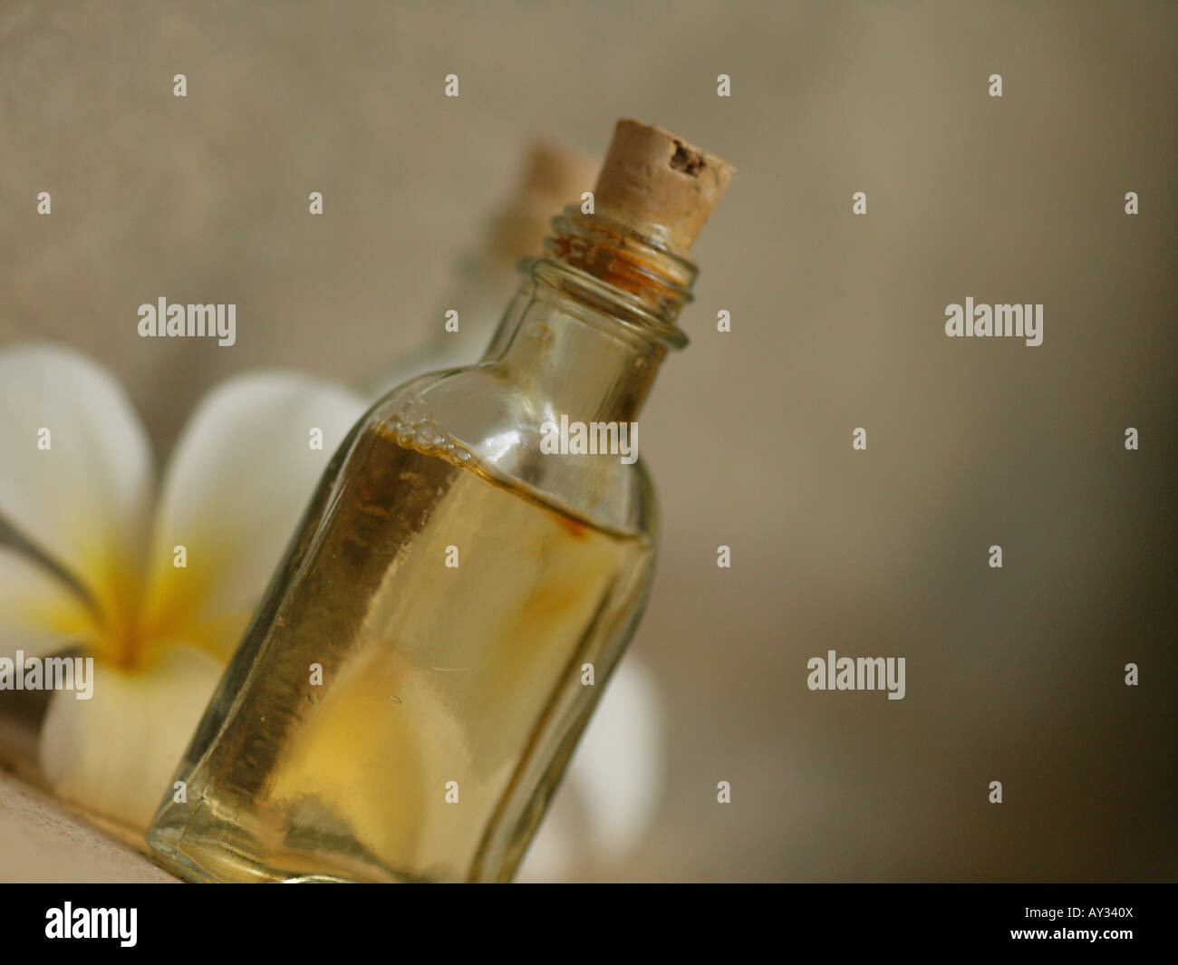 Close-up of a Frangipani flower with two bottles of massage oil (Plumeria) Stock Photo