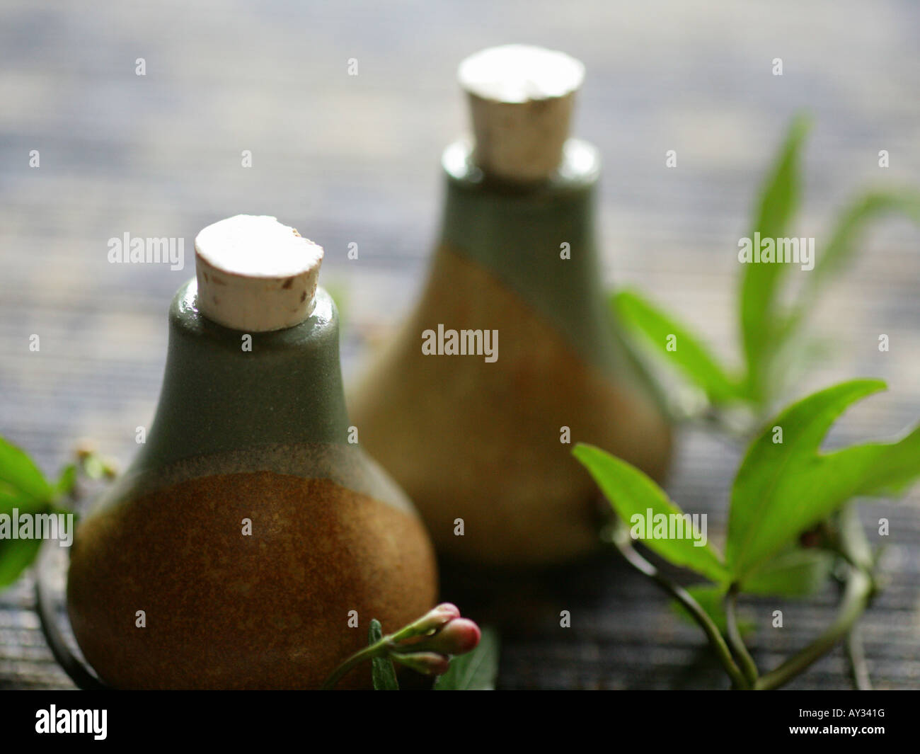 Close-up of leaves with two bottles of massage oil Stock Photo