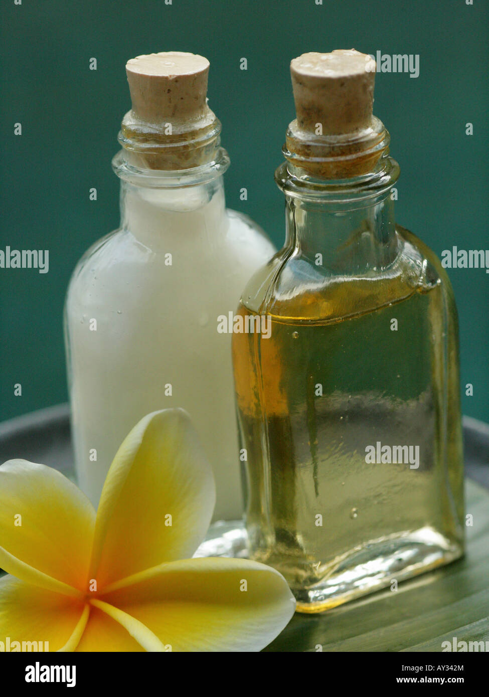 Close-up of a Frangipani flower with two bottles of massage oil (Plumeria) Stock Photo