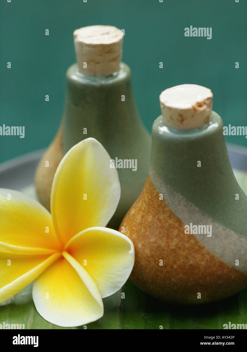 Close-up of a Frangipani flower with two bottles of massage oil (Plumeria) Stock Photo
