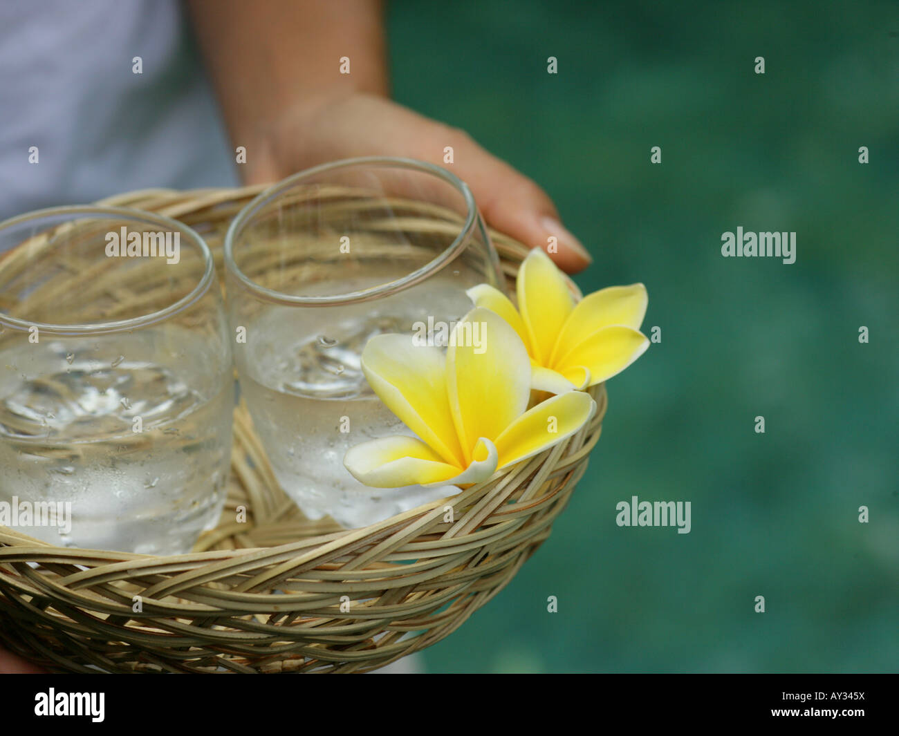Close-up of a woman's hand holding a wicker basket and Frangipani flowers (Plumeria) Stock Photo
