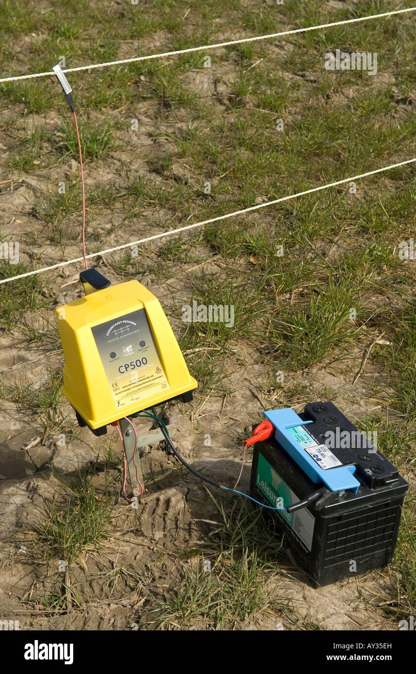 agricultural electric fence, norfolk, england Stock Photo Alamy
