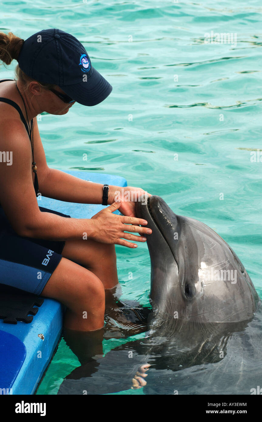 A trainer of the Dolphin Therapy and research Centre is rewarding a dolphin which is giving therapy to a mentally disabled boy Stock Photo