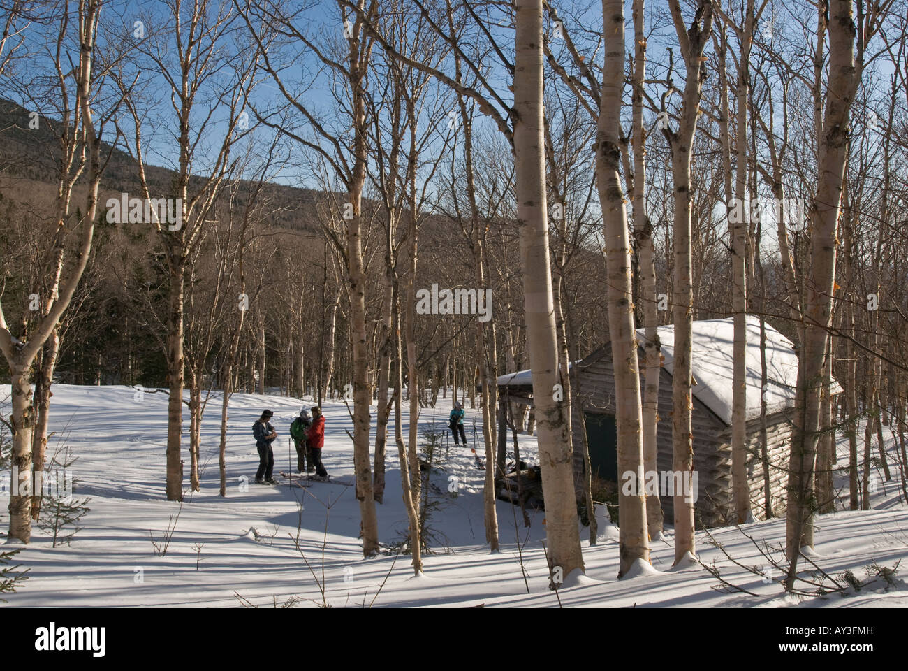 Skiers Taking A Break At A Log Cabin During A Backcountry Ski Trip