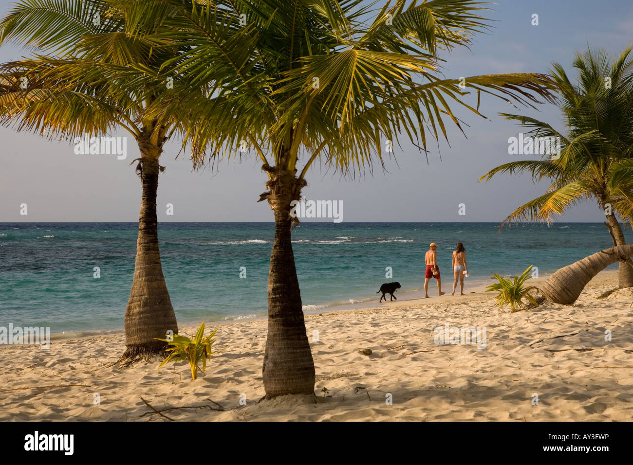 West Bay Bay Island Honduras Carribean Ocean Stock Photo Alamy