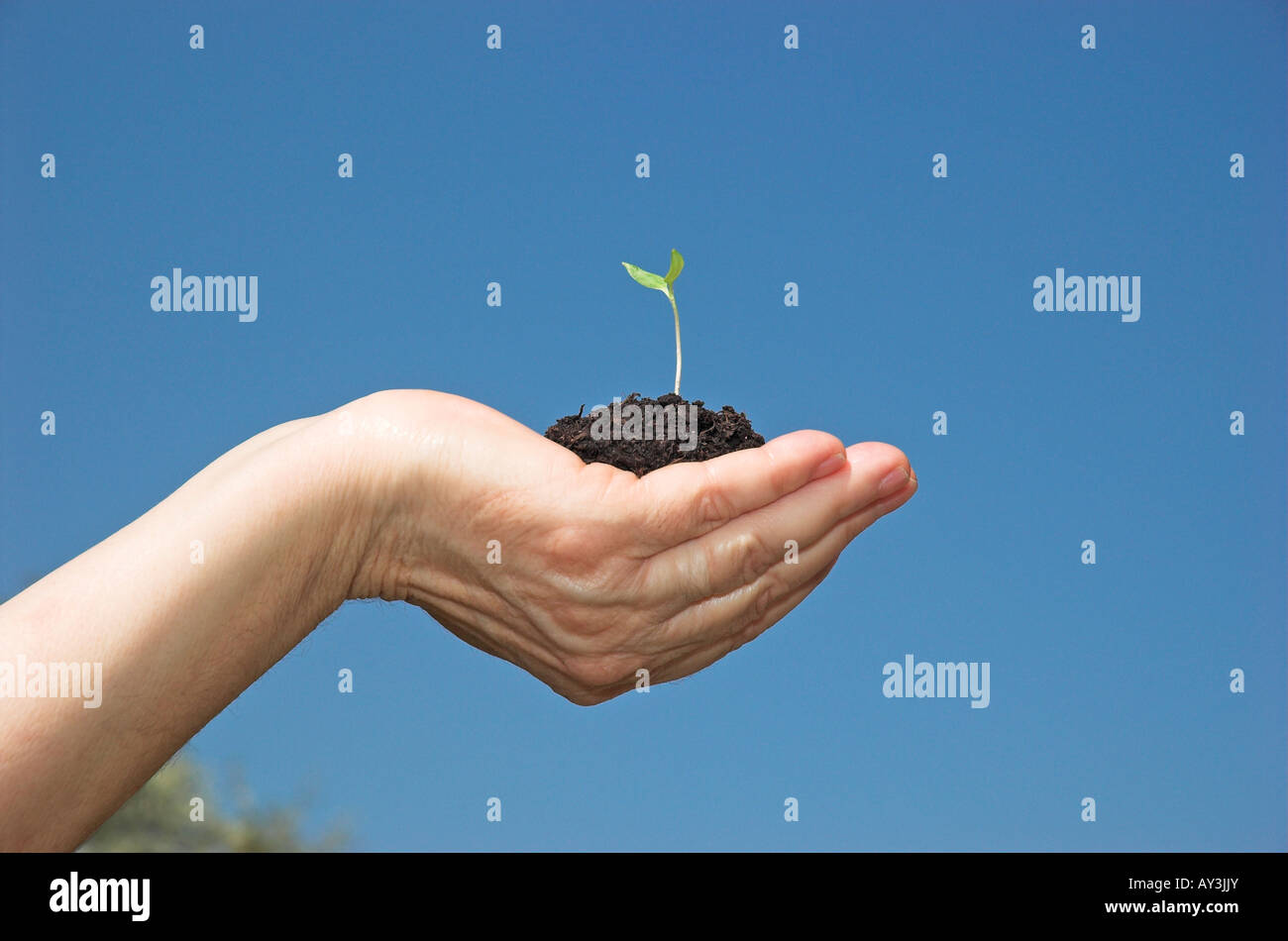 Hand holding up blue hi-res stock photography and images - Alamy