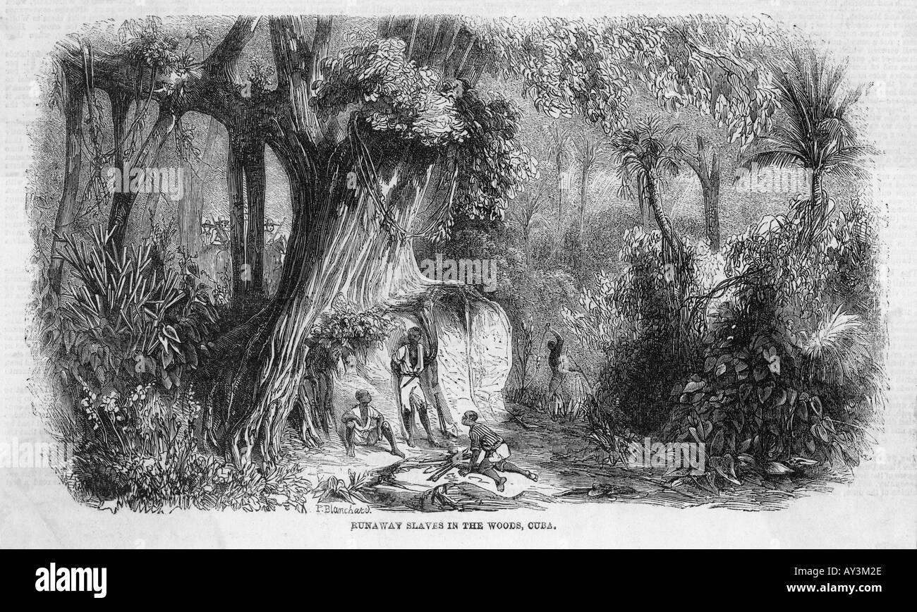 Runaway slave hires stock photography and images Alamy