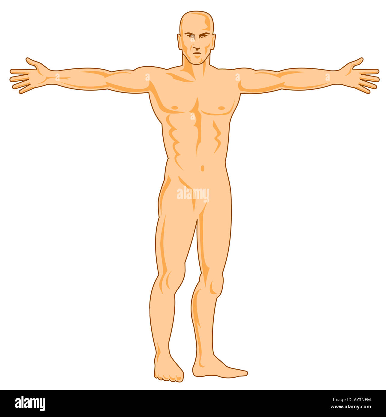 Human figure standing front Stock Photo