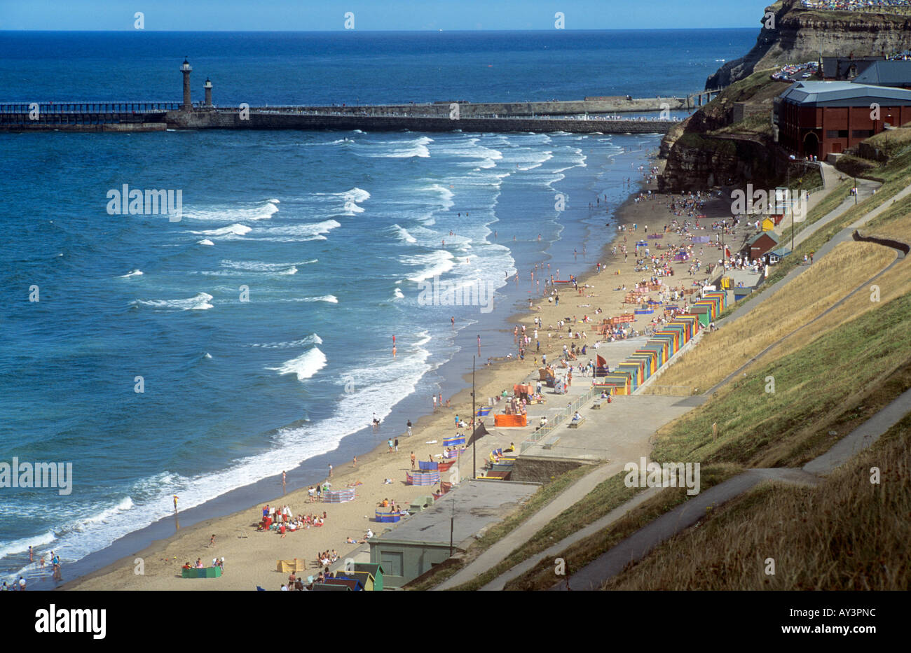 Can You Take Dogs On The Beach At Scarborough