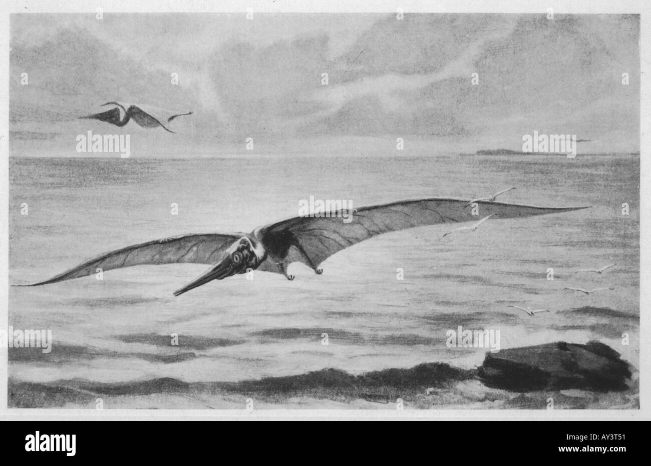 Pterodactyl Or Pteranodon Flying Over The Ocean Stock Photo, Picture and  Royalty Free Image. Image 9183984.