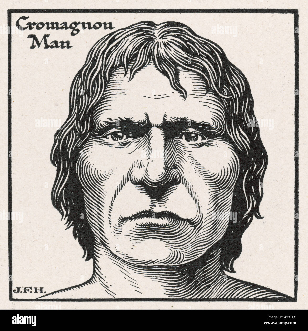 cro-magnon-homo-sapiens-stock-photo-alamy