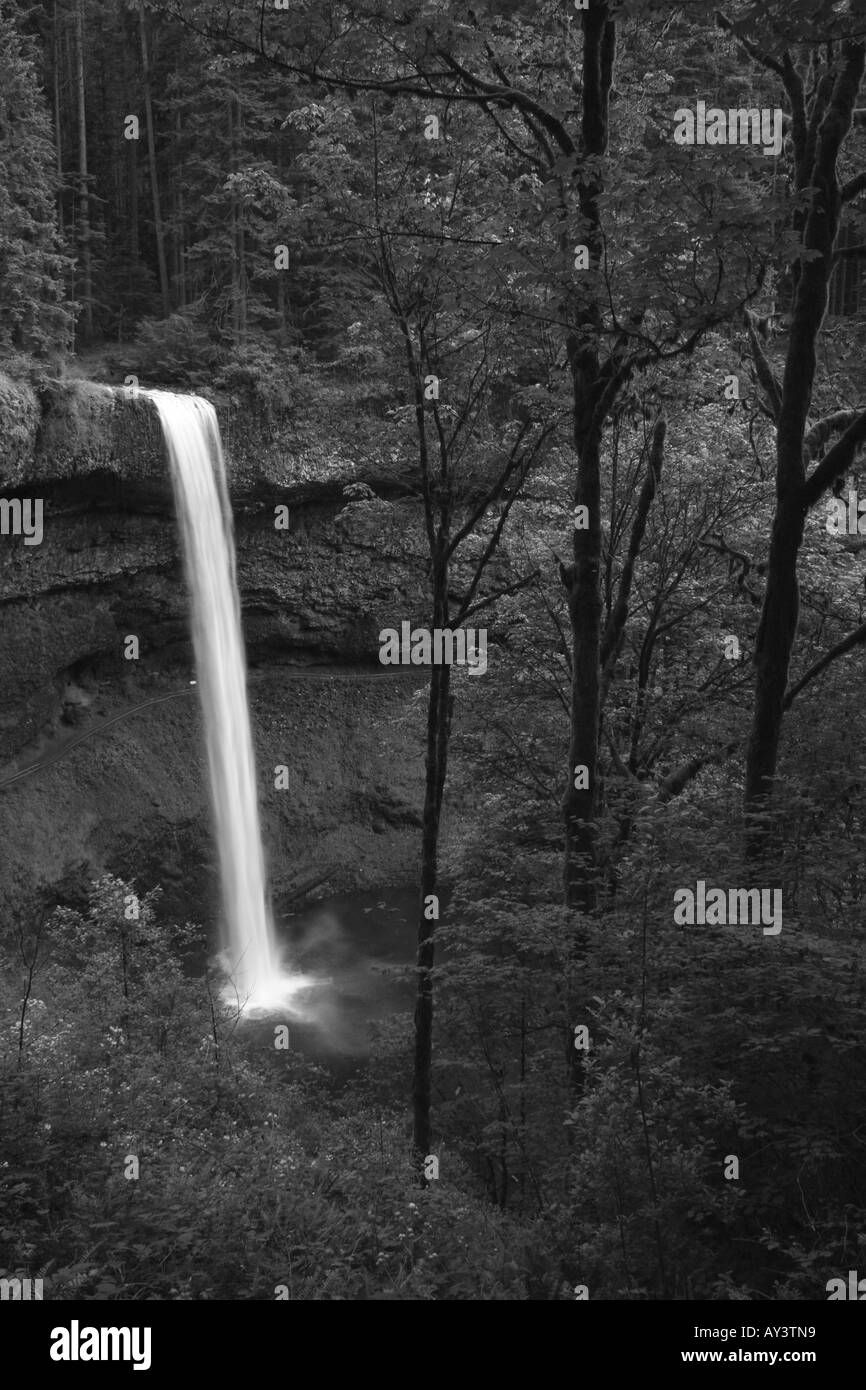 Silver Falls State Park in Oregon Stock Photo Alamy