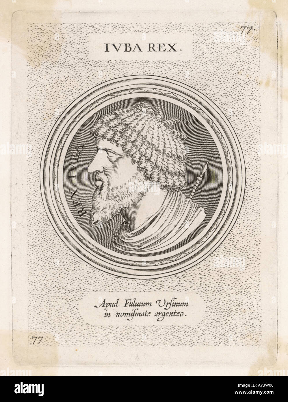 King of numidia hires stock photography and images Alamy