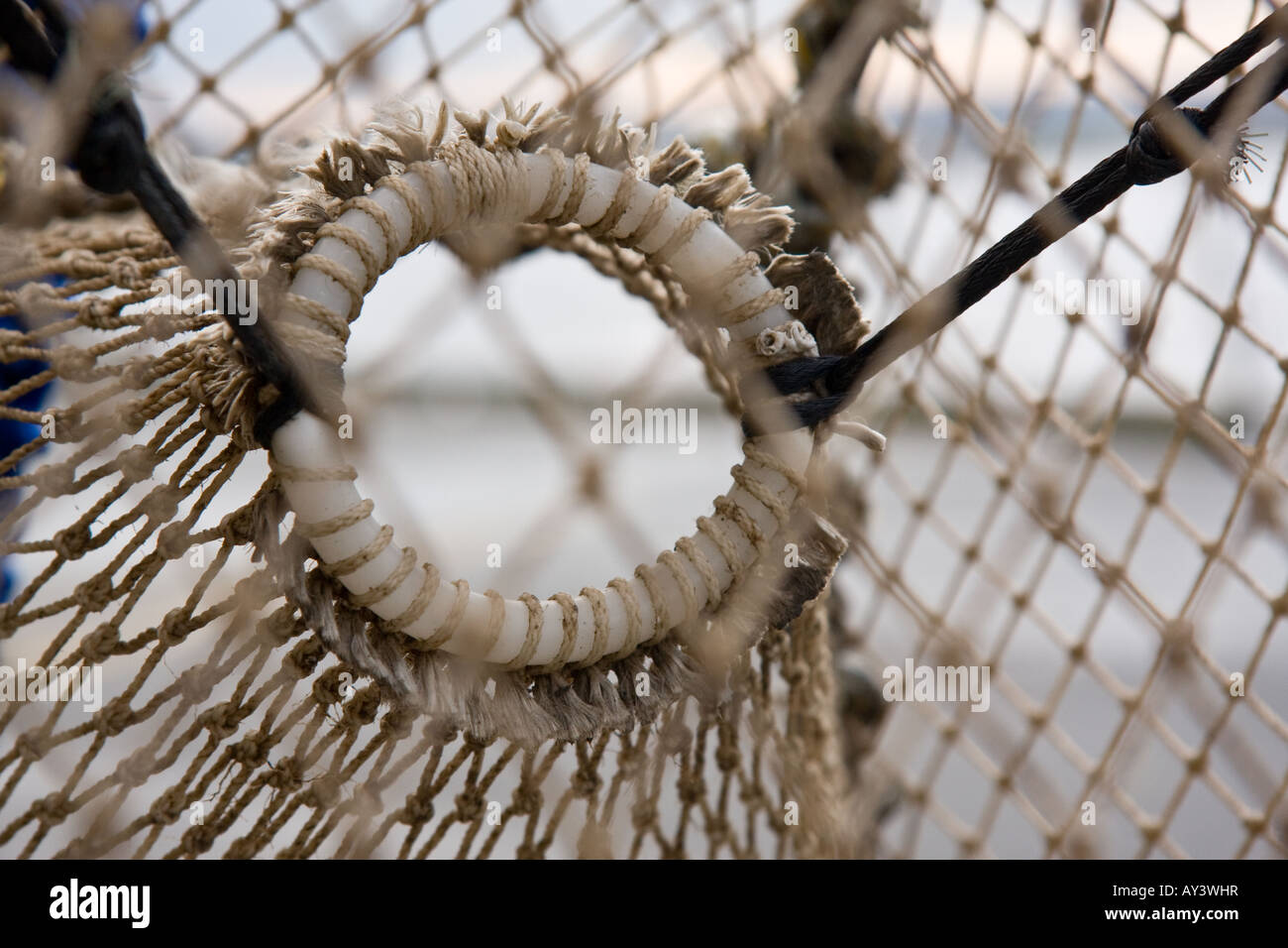 lobster pot Stock Photo Alamy