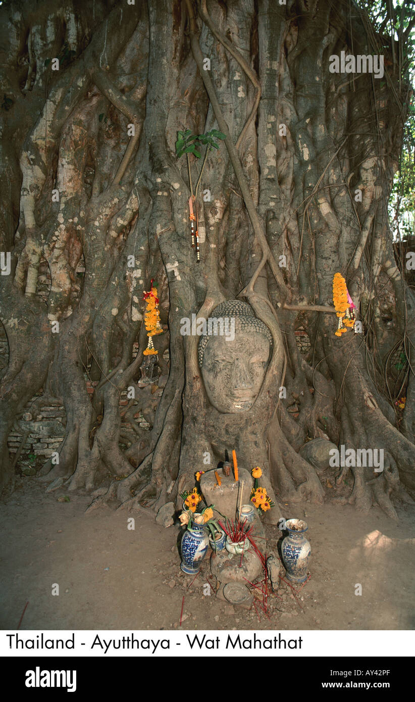 Thailand Ayutthaya Wat Mahathat Stock Photo