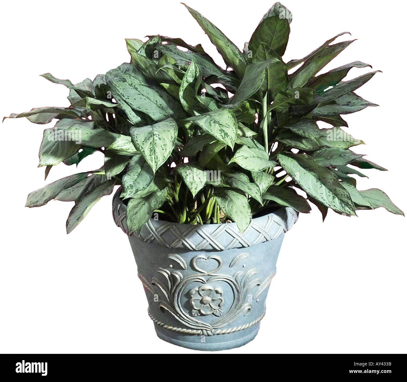 decorative indoor plant stands The Aurelia Spiral Stand  Leafy Ladder