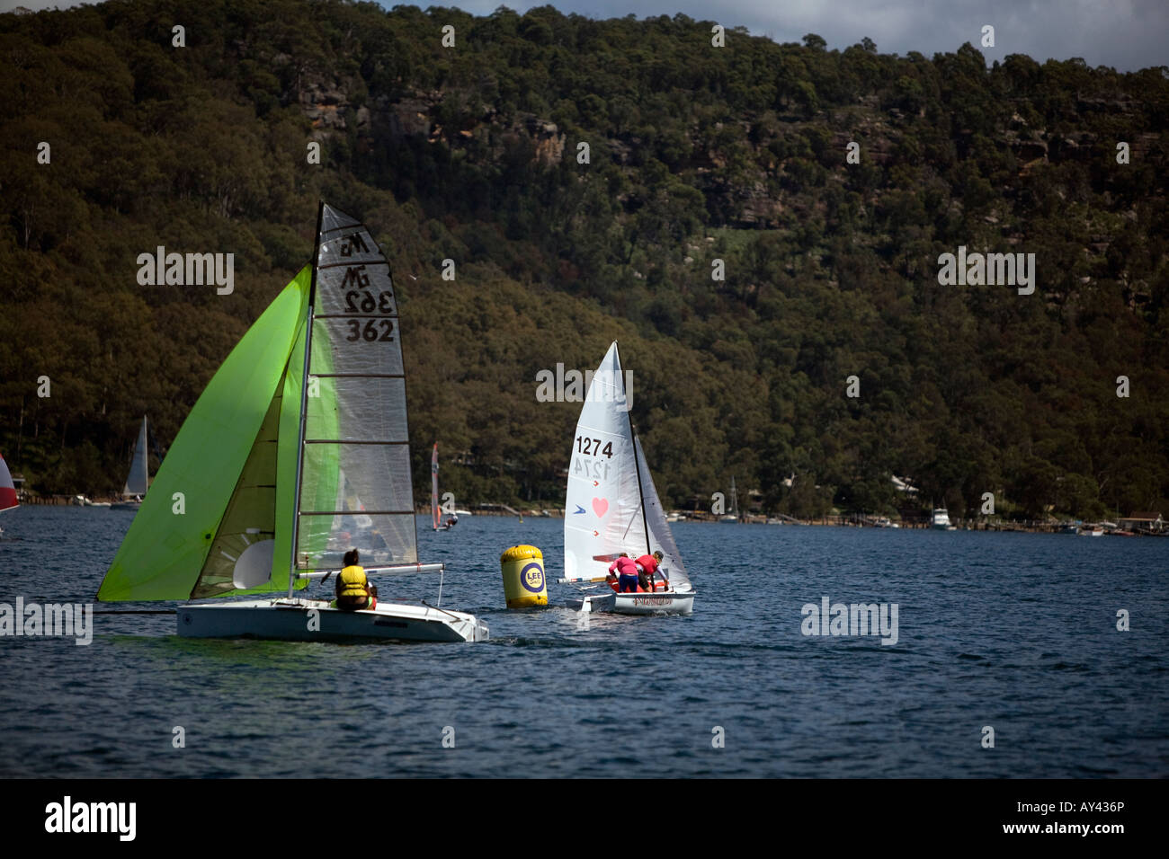 dinghy sailing on pittwater sydney new south wales australia Stock Photo