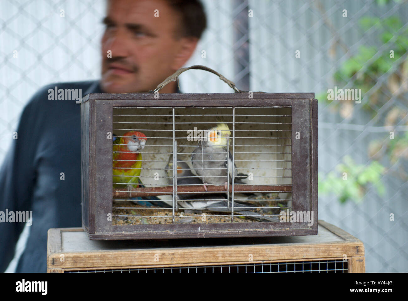 small wooden bird cage