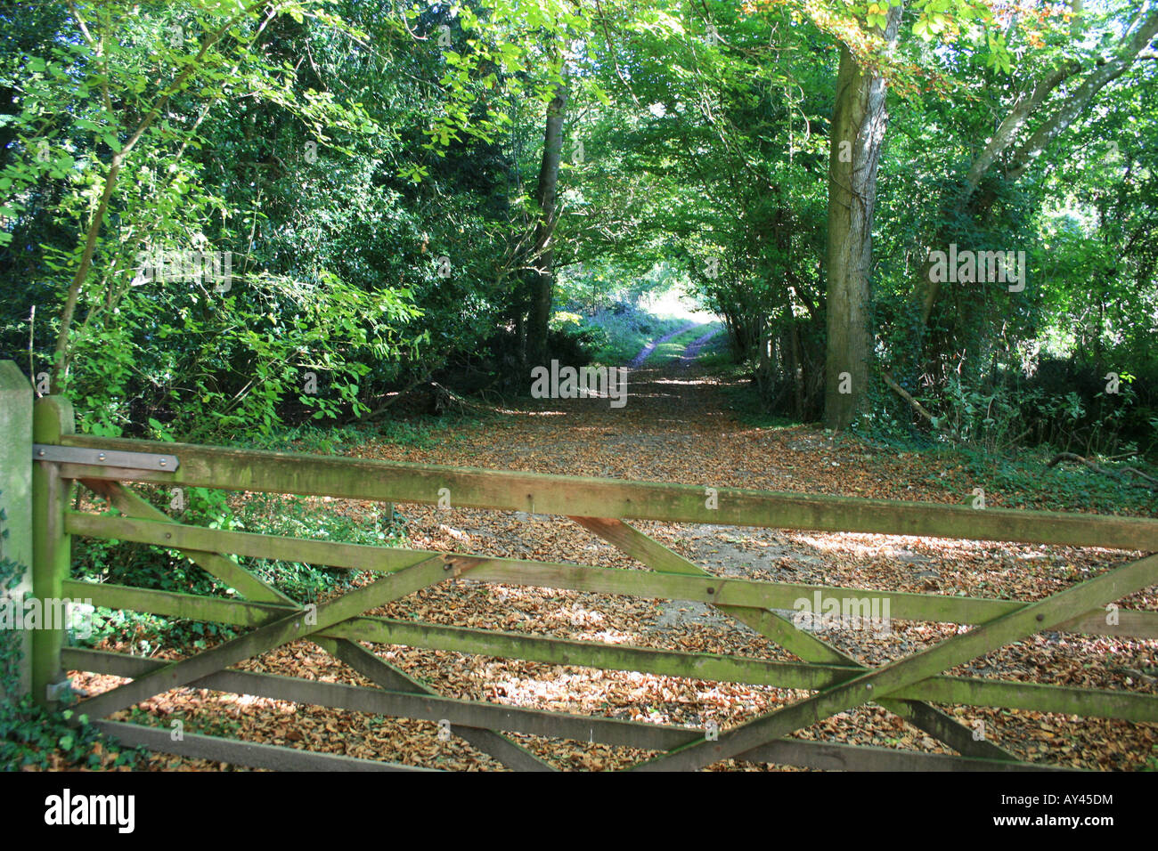 A wooden gate leading into the woods,with a field beyond,in autumn. There are autumn leaves on the ground. Stock Photo