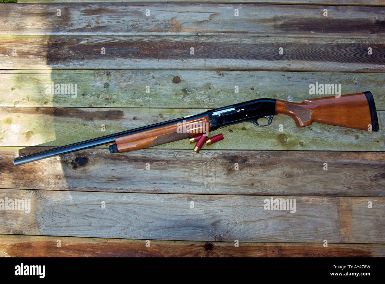 12 gauge new vegas 12 gauge new vegas