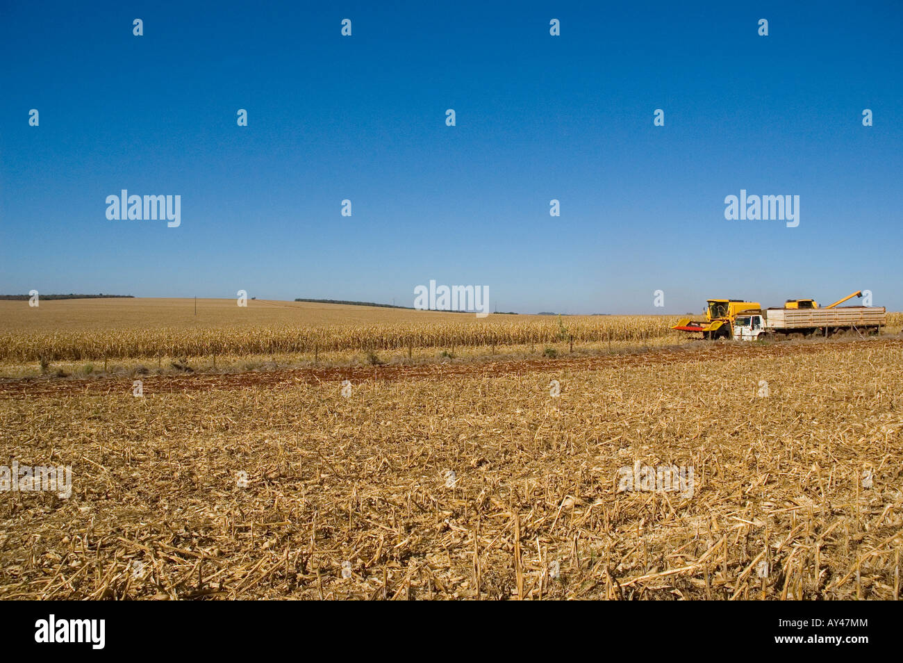 Reaping cane truck Stock Photo