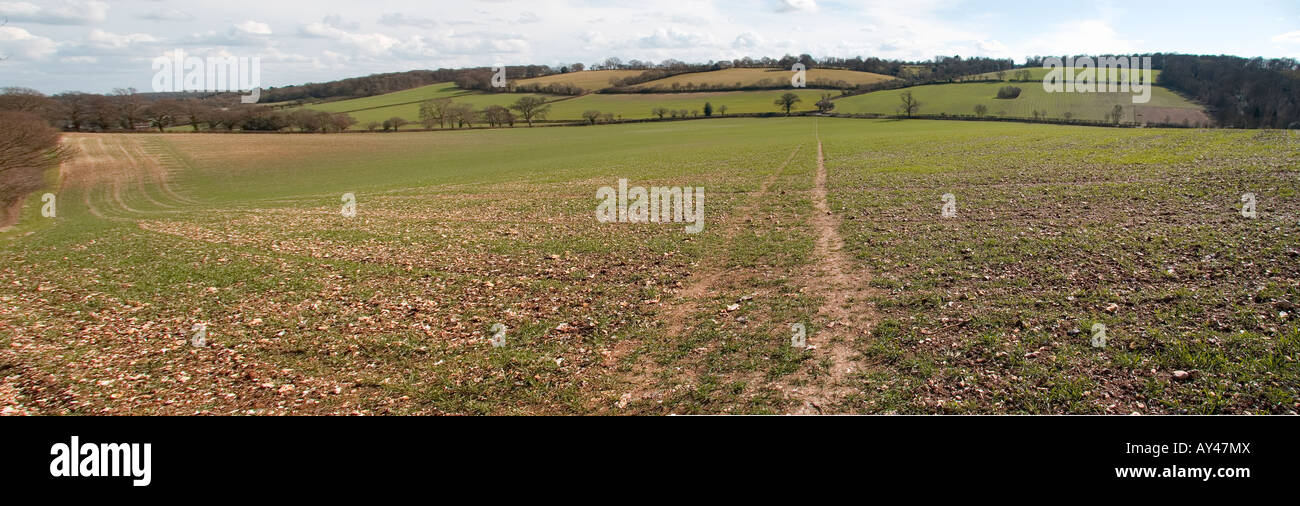 The fields of flint in Buckinghamshire Stock Photo Alamy
