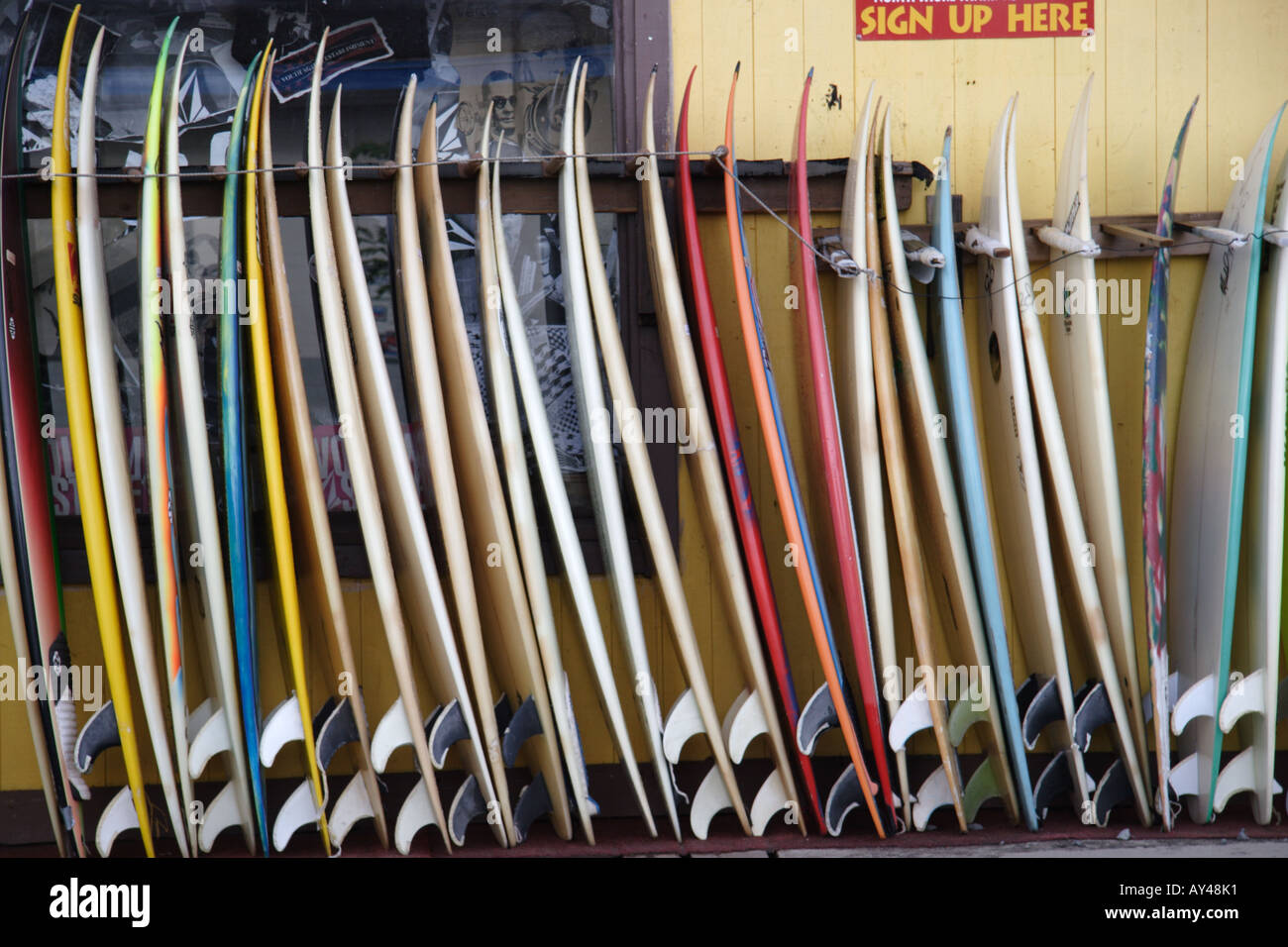 Surfboards lined up in Oahu Hawaii Stock Photo Alamy