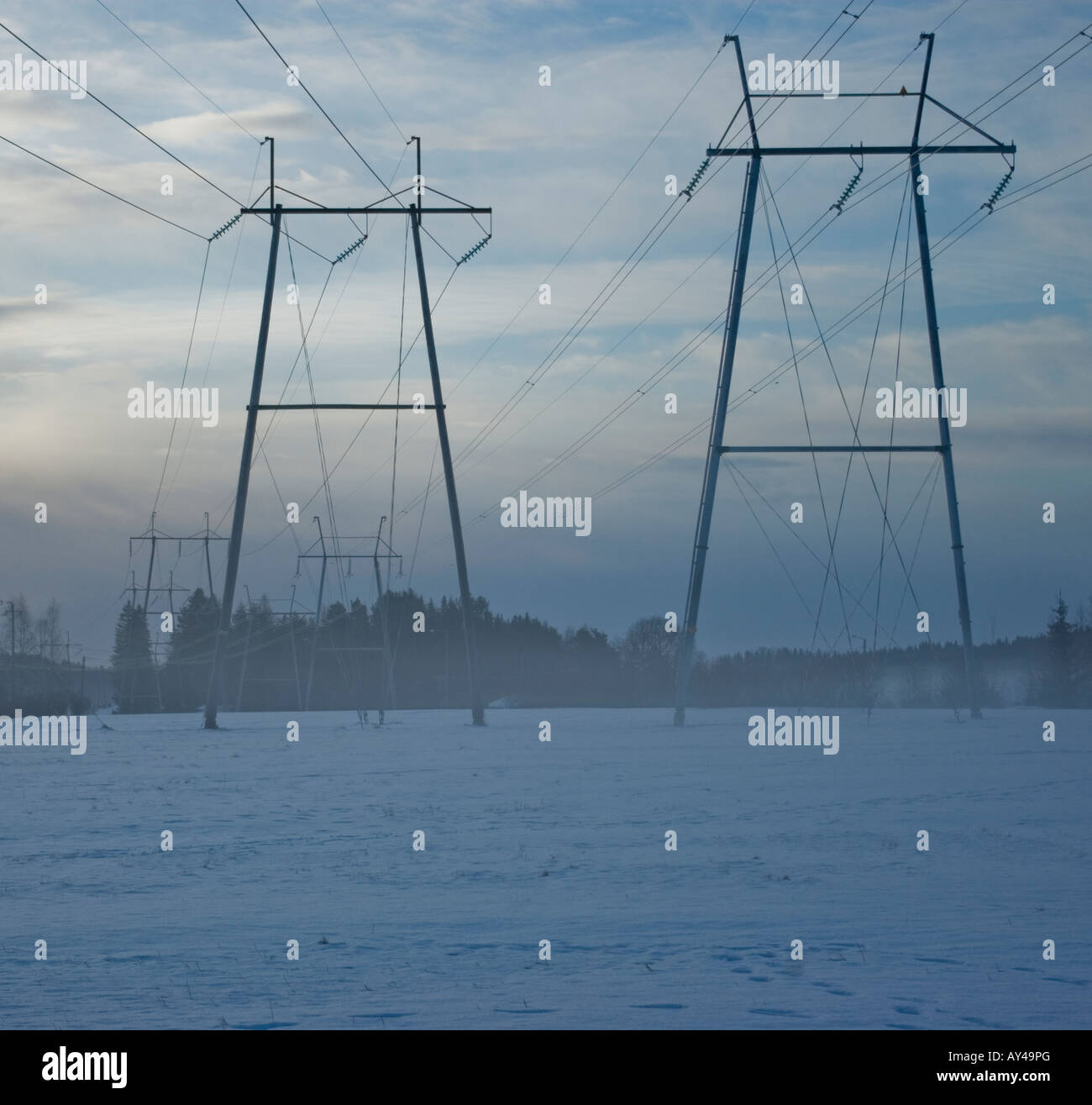 Power lines on a misty winter day Stock Photo - Alamy