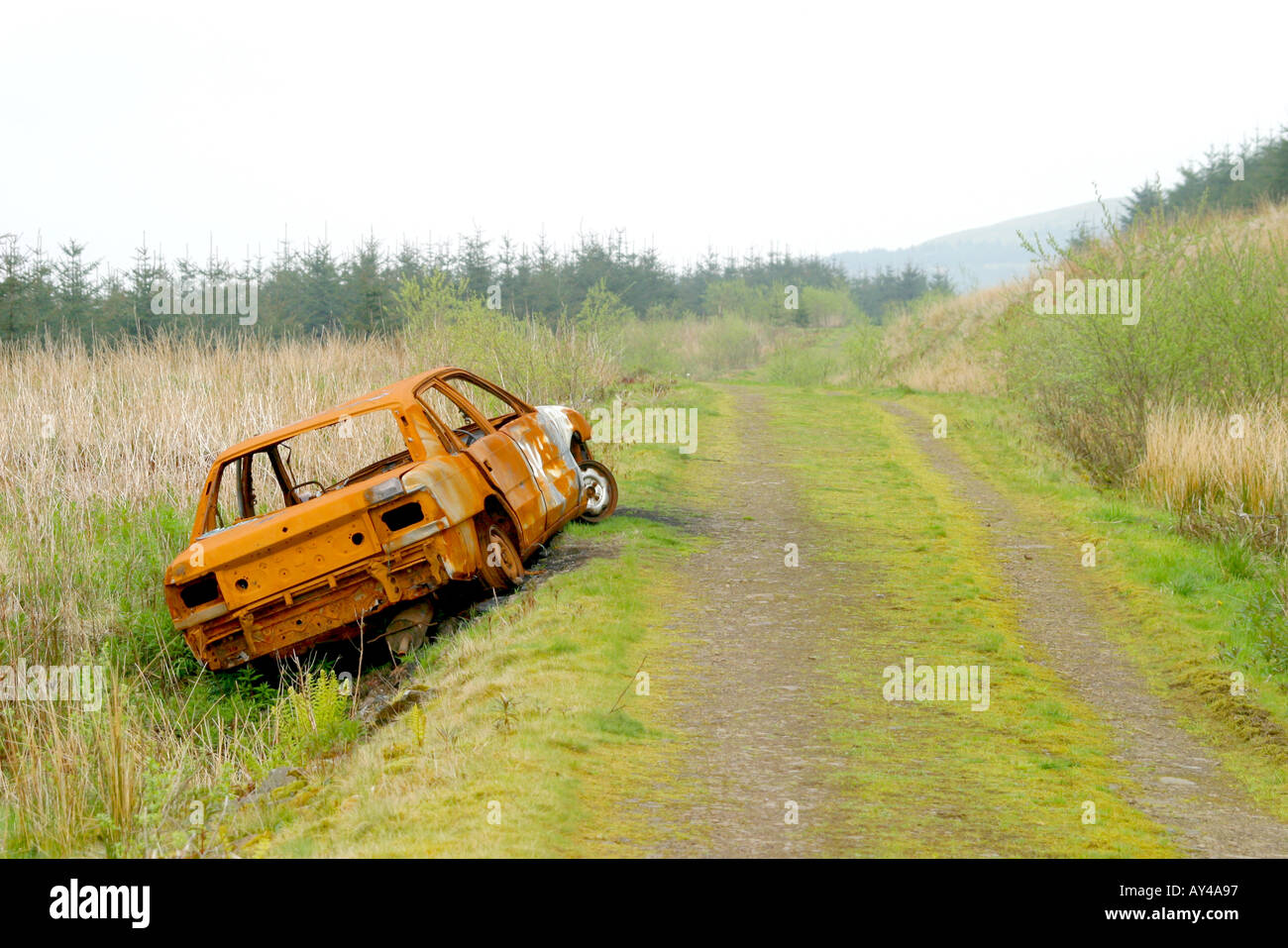 Car in forest hi-res stock photography and images - Alamy