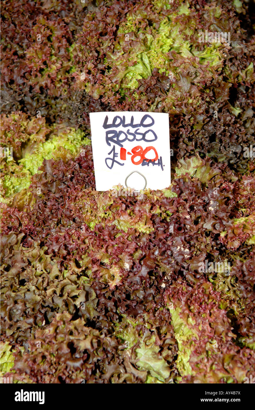 London Borough Market , stall display of beautiful fresh lollo rosso lettuces Stock Photo