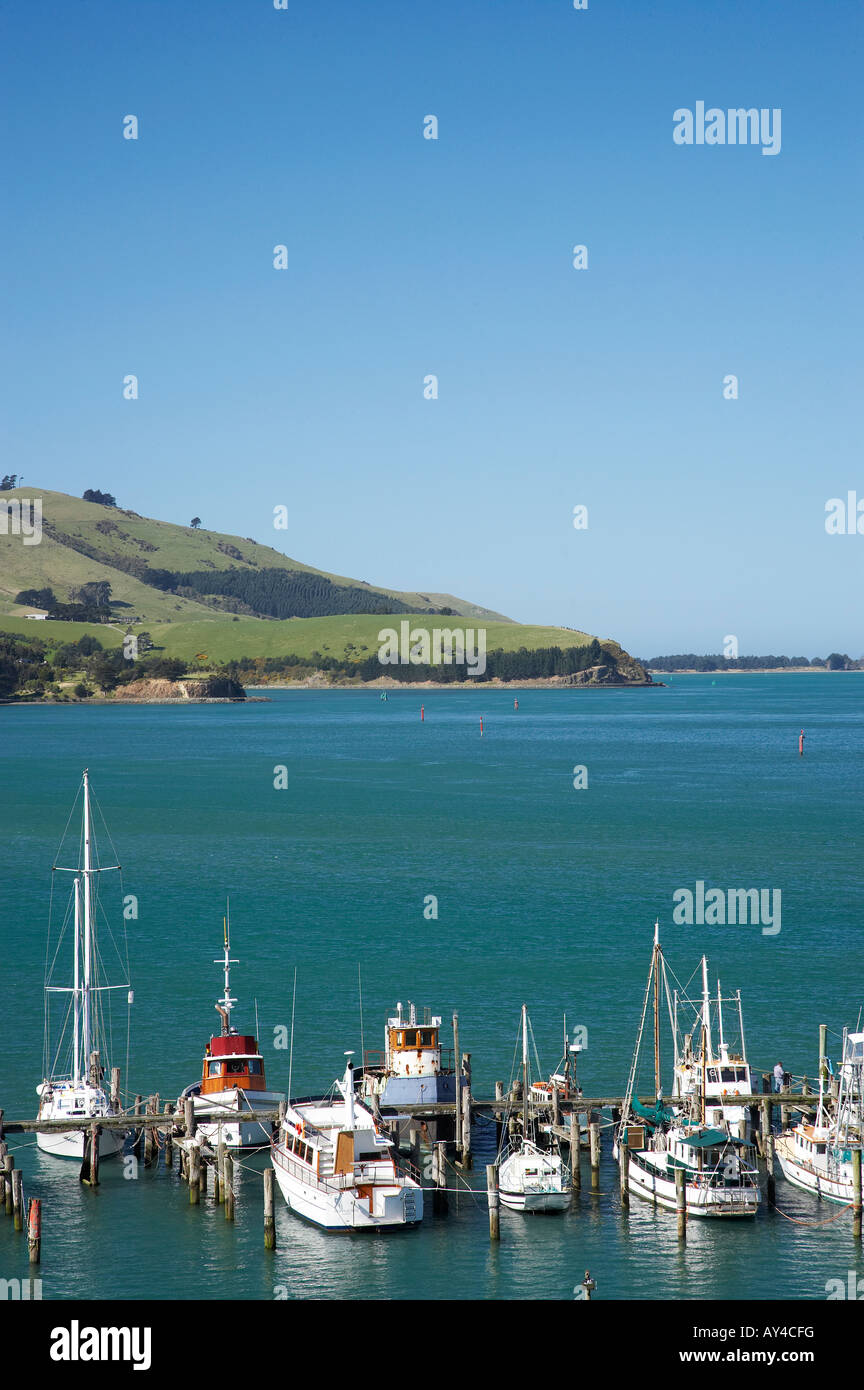 Jetty Careys Bay Otago Harbour Dunedin South Island New Zealand Stock