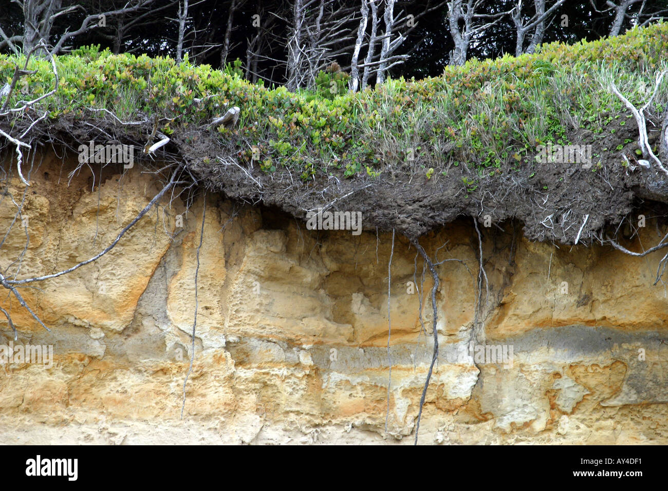 Undercuts hi-res stock photography and images - Alamy