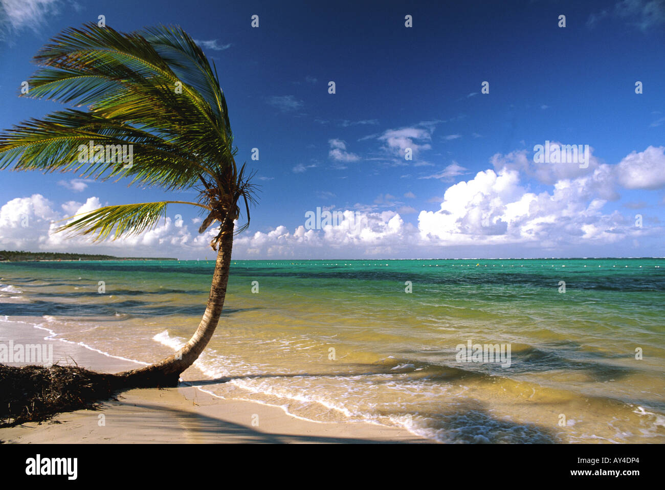 Caribbean Dominican Republic Punta Cana Playa Bavaro Stock Photo