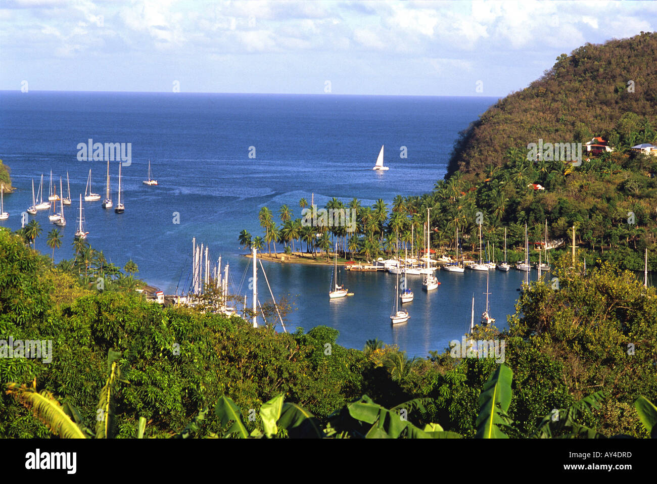 Caribbean Saint Lucy Marigot Bay Stock Photo Alamy