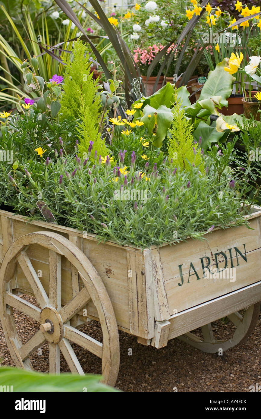 Decorative wooden garden wheelbarrow in conservatory Stock Photo