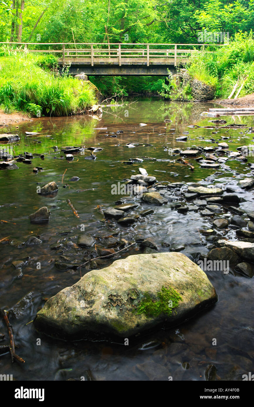 Bridge over Dowles Brook Wyre Forest Worcestershire England Stock Photo