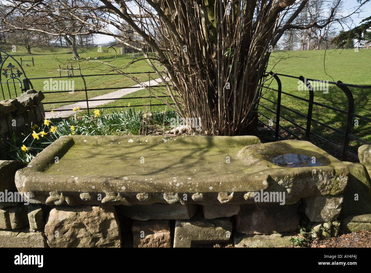 Stone embalming trough at Jervaulx Abbey Stock Photo